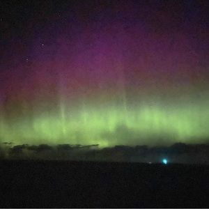 Meet your Posher, Devin